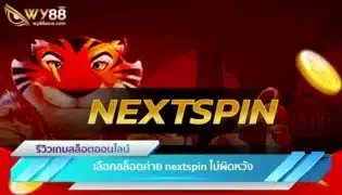 เลือกสล็อตค่าย nextspin ไม่ผิดหวังพร้อมสูตรการเล่นล่าสุด